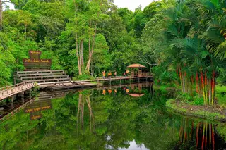 ศูนย์วิจัยและศึกษาธรรมชาติป่าพรุสิรินธร