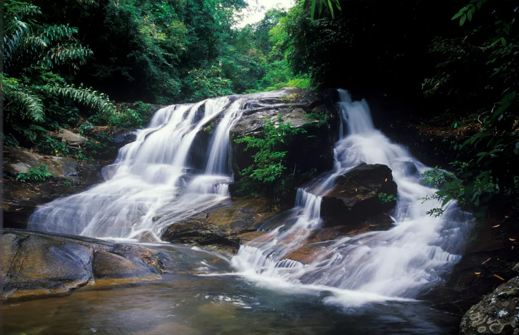 อุทยานแห่งชาติเขาชะเมา-เขาวง
