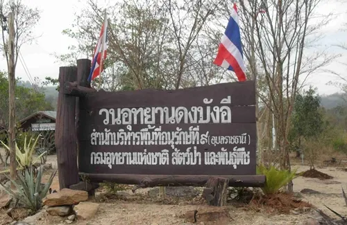 วนอุทยานดงบังอี่