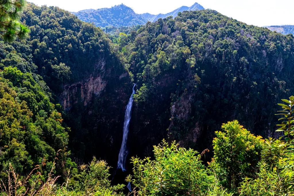 อุทยานแห่งชาติน้ำตกแม่สุรินทร์