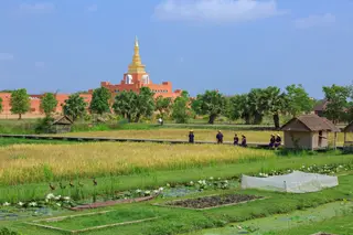 โครงการเกษตรอินทรีย์สนามบินสุโขทัย