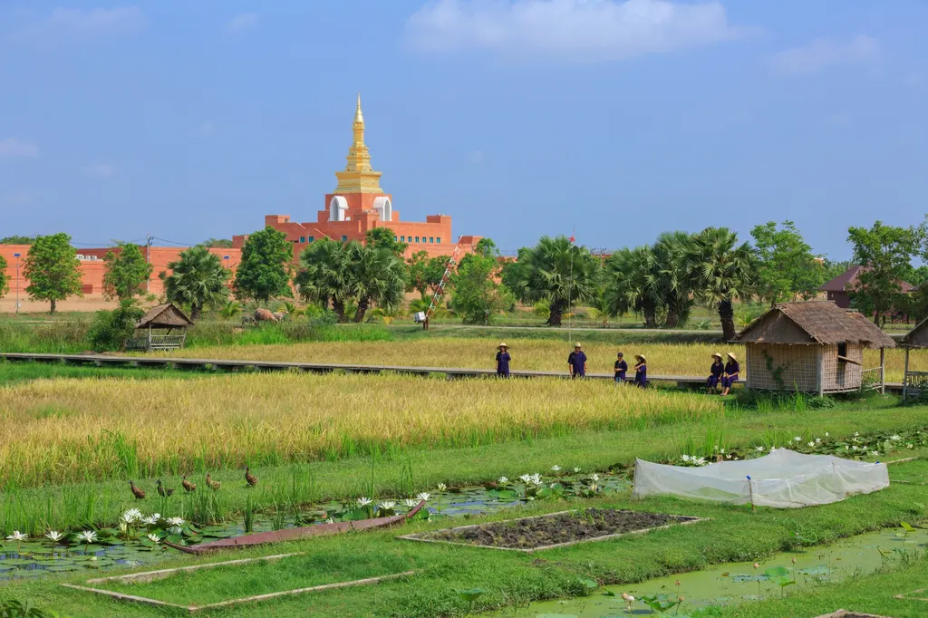 โครงการเกษตรอินทรีย์สนามบินสุโขทัย