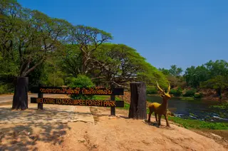 วนอุทยานโกสัมพี