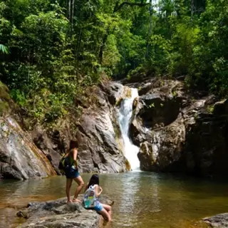 เขตรักษาพันธุ์สัตว์ป่าโตนปริวรรต