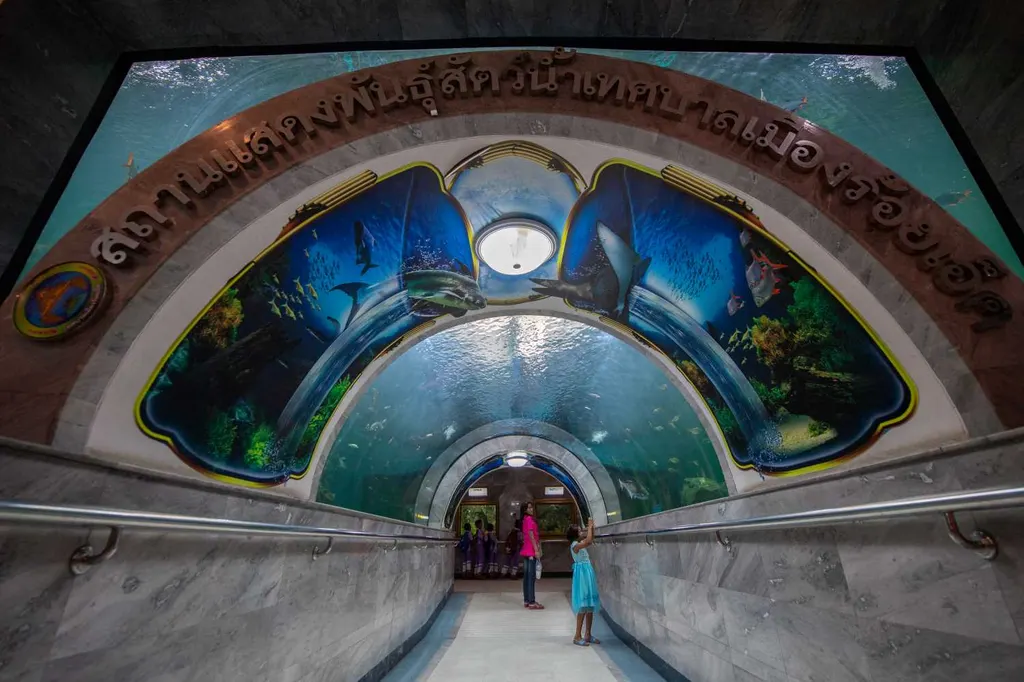สถานแสดงพันธุ์สัตว์น้ำเทศบาลเมืองร้อยเอ็ด