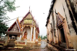 วัดหัวดง
