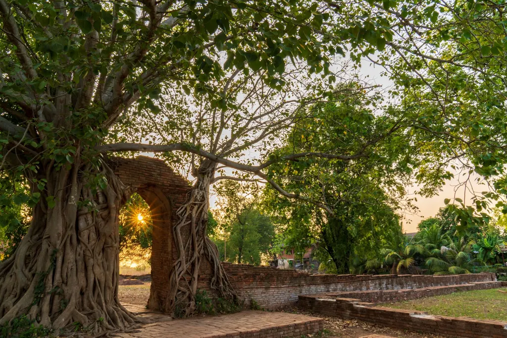 วัดพระงาม