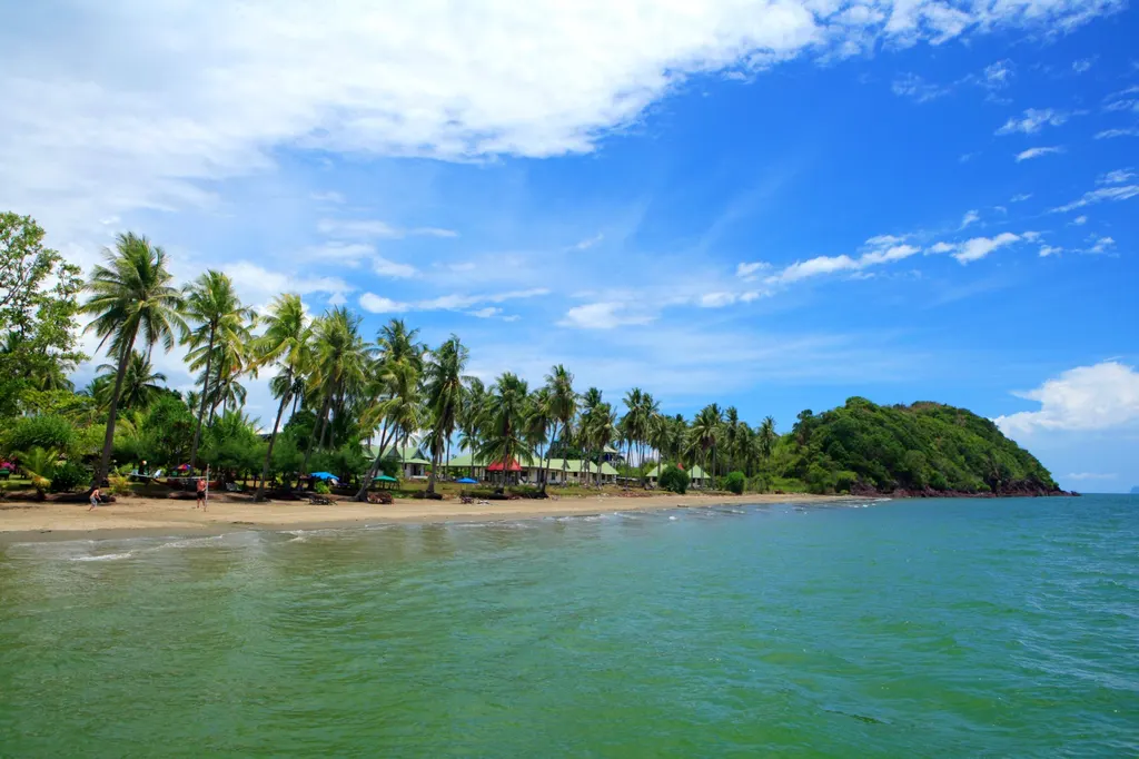 เกาะสุกร