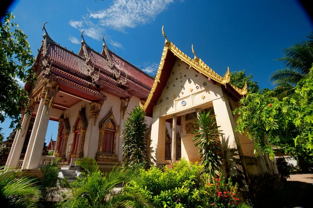 วัดม่วง