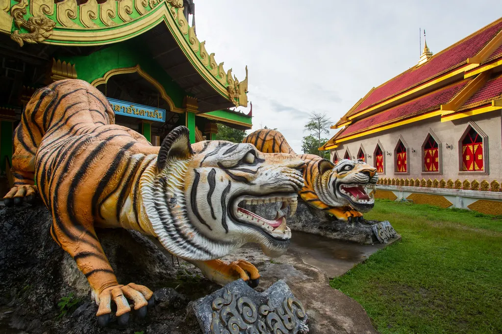 วัดถ้ำเสือ