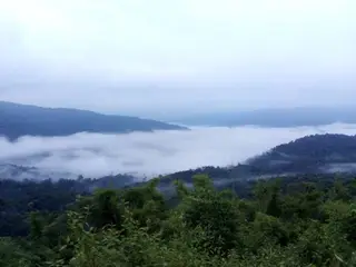 อุทยานแห่งชาติภูสวนทราย