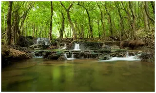 อุทยานแห่งชาติน้ำตกสี่ขีด