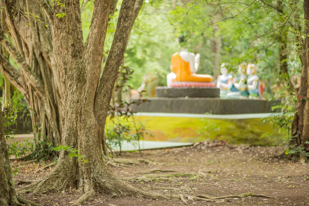 พุทธอุทยานวัดชากใหญ่