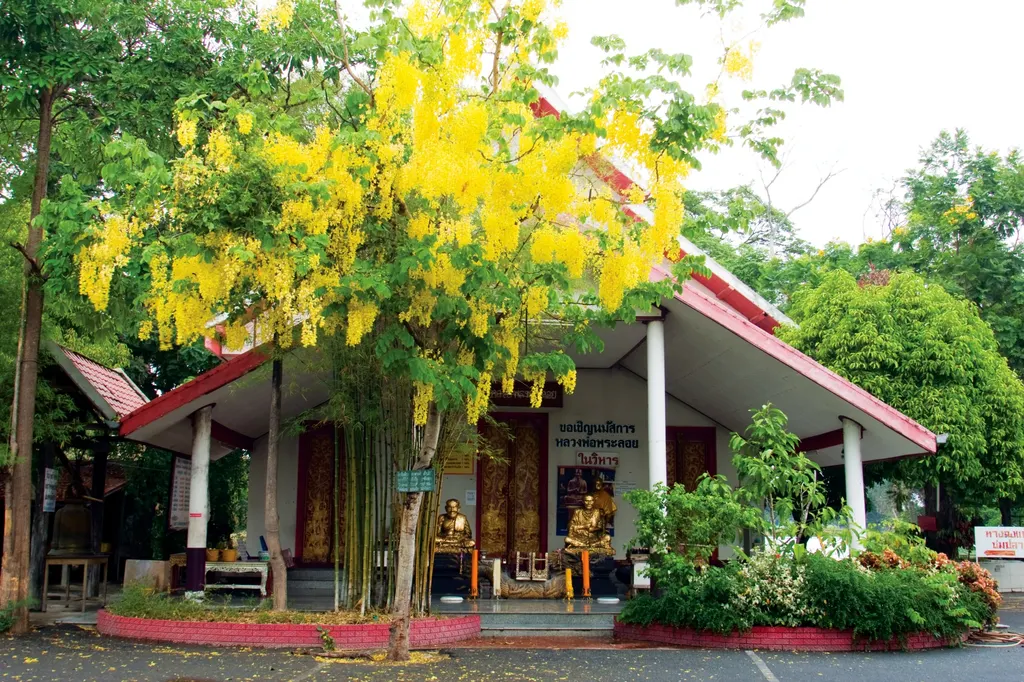 วัดพระลอย
