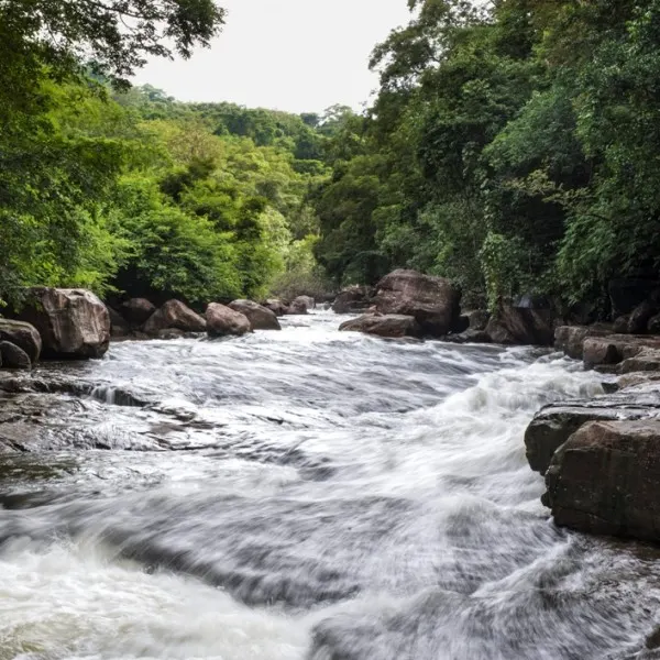 วนอุทยานน้ำตกธารทิพย์