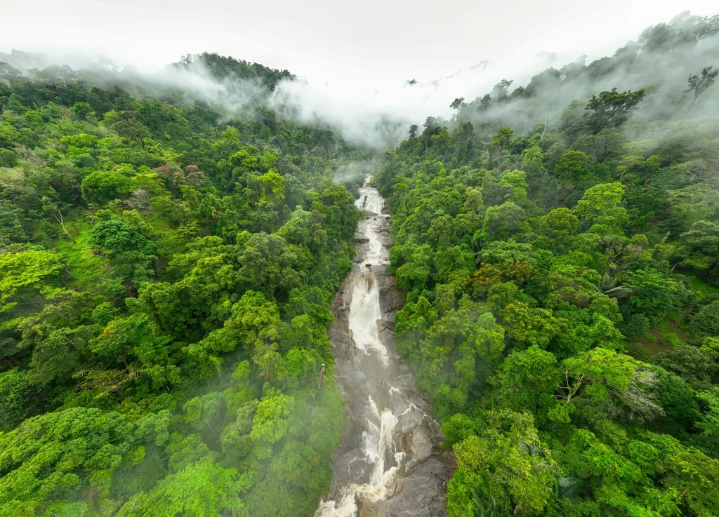 อุทยานแห่งชาติเขาหลวง