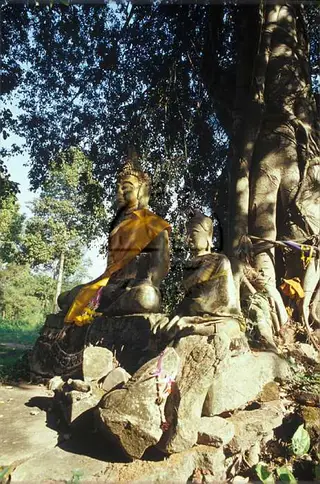 อุทยานเมืองเก่าพิจิตร