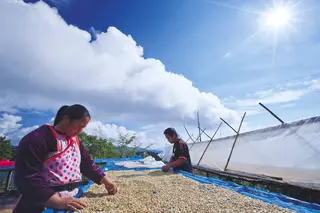 โครงการบ้านเล็กในป่าใหญ่ดอยคำ