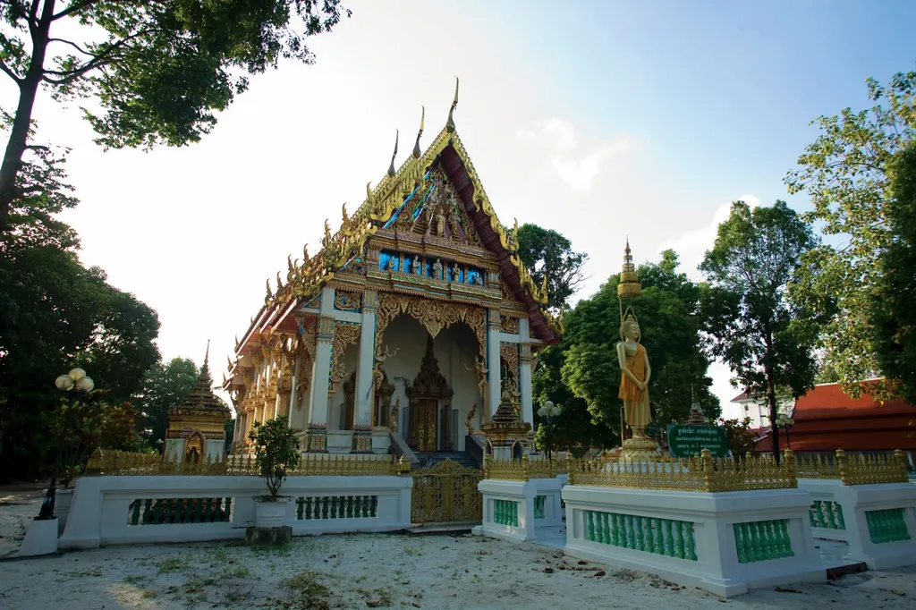 สวนป่าน