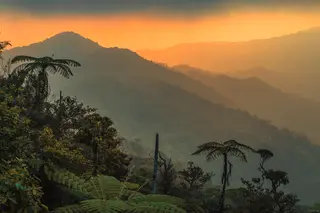 อุทยานแห่งชาติน้ำตกโยง